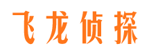 金阳市侦探调查公司